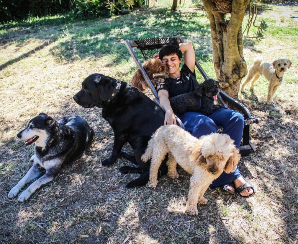 pensione casalinga per cani e gatti 