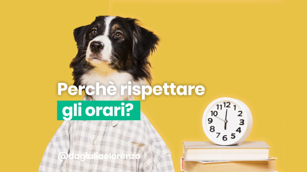 cane con orologio che rispetta gli orari