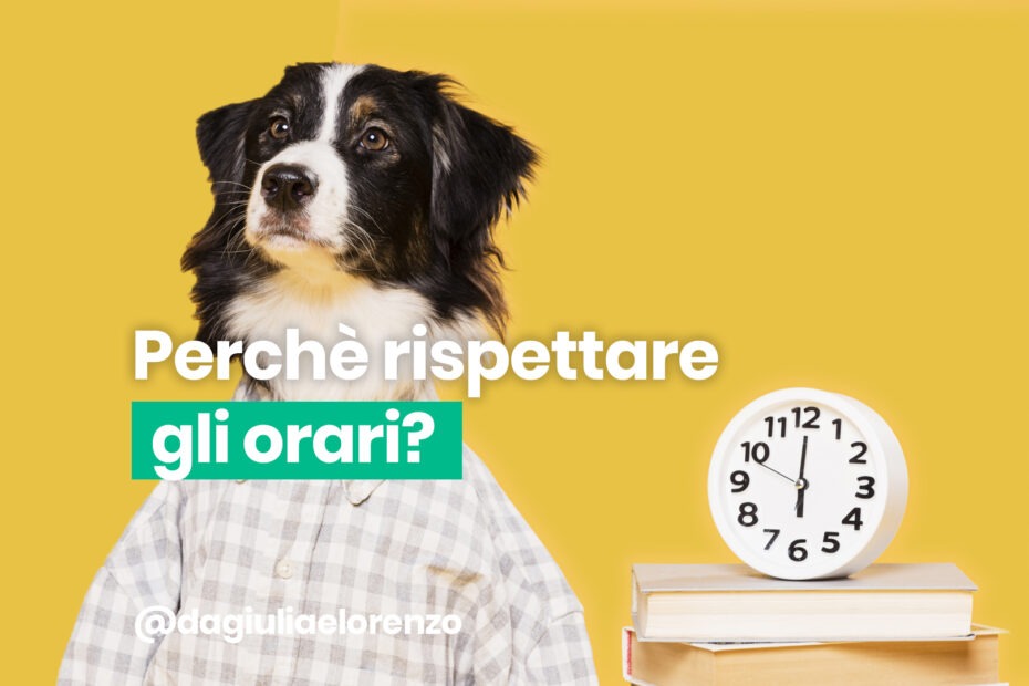 cane con orologio che rispetta gli orari