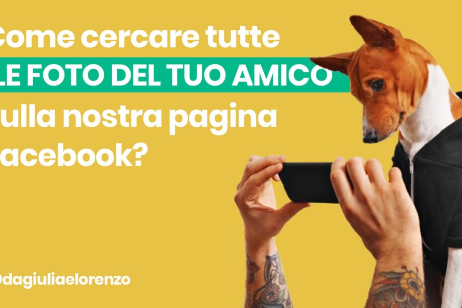 cerca le foto del tuo pet