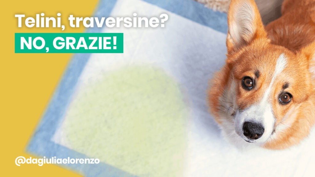 Ecco perchè non usiamo i telini/traversine!