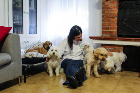 tutti insieme i cagnolini da giulia e lorenzo